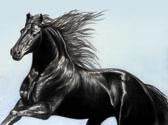 Friesian, Equine Art - Friesian Magic